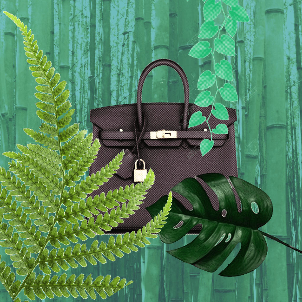 A green plant

Description automatically generated